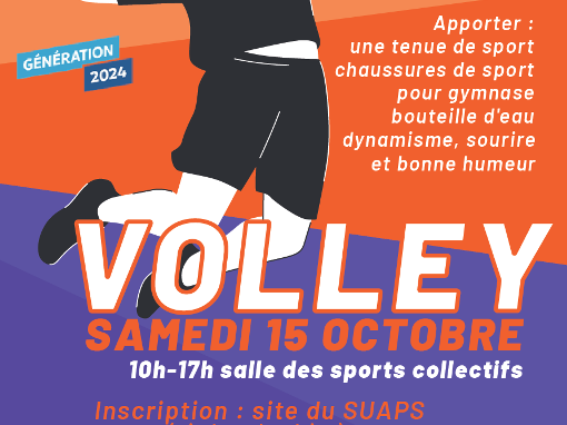 Stage Volley le 15/10