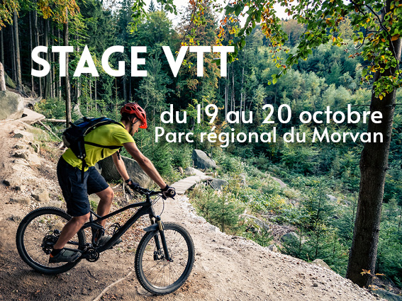 Stage VTT