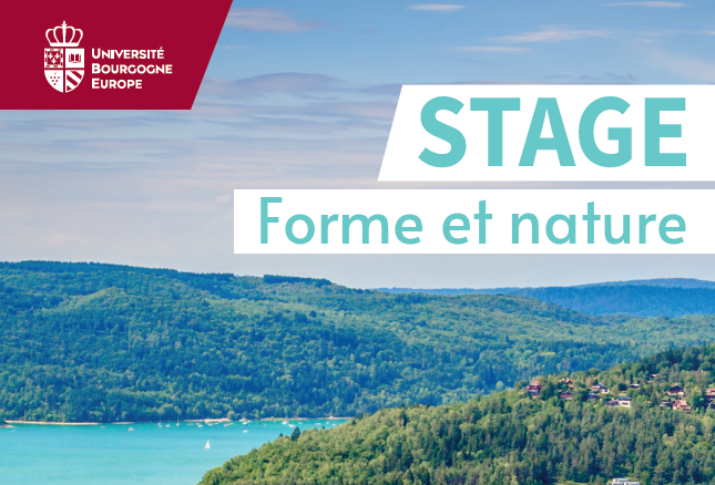 Stage forme et nature